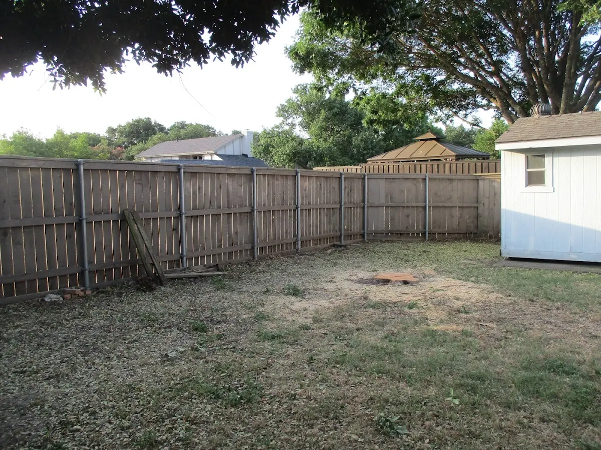 Cleared yard after professional tree removal in Branchdale