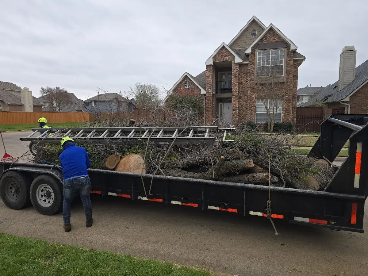 Expert Tree Fertilization with proper safety equipment in Branchdale
